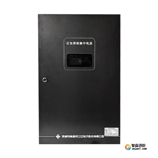 甘肃海湾SJ-D-0.6KVA/P601AC应急照明集中电源 4回路 壁挂式